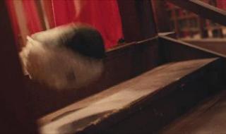 评分9.0以上的鬼片